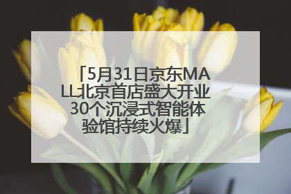 5月31日京东MALL北京首店盛大开业 30个沉浸式智能体验馆持续火爆
