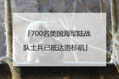 700名美国海军陆战队士兵已抵达洛杉矶