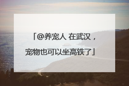 @养宠人 在武汉，宠物也可以坐高铁了