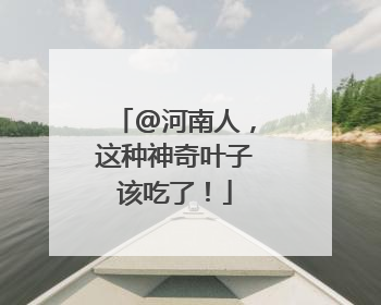 @河南人，这种神奇叶子该吃了！