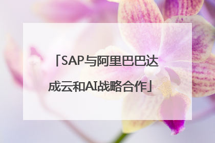 SAP与阿里巴巴达成云和AI战略合作