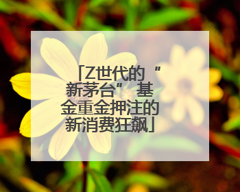 Z世代的“新茅台” 基金重金押注的新消费狂飙